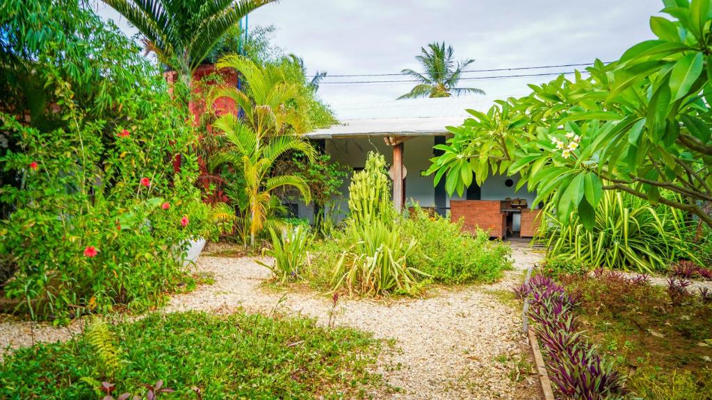 a garden with trees and plants in front of a house at Nungwi House in Nungwi