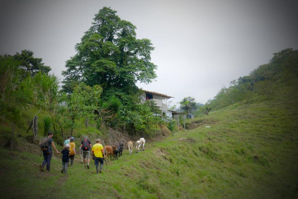 Hosté ubytování Finca Del Cielo