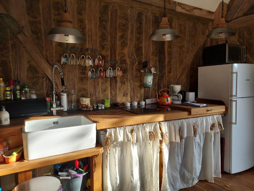 a kitchen with a counter with a sink and a refrigerator at Gîtes du Manoir de la Porte in Les Authieux-sur-Calonne