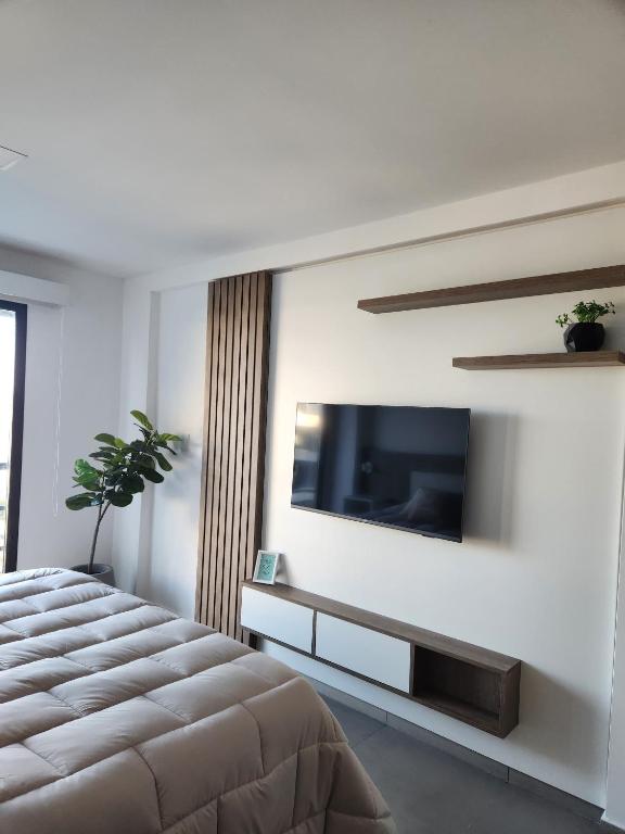TV a/nebo společenská místnost v ubytování ManuFel Rentals