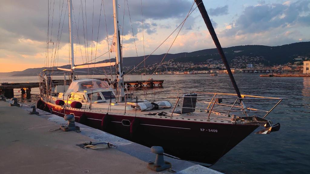 a boat is docked at a dock in the water at Bed & Breakfast & Sea with Captain in Pirovac