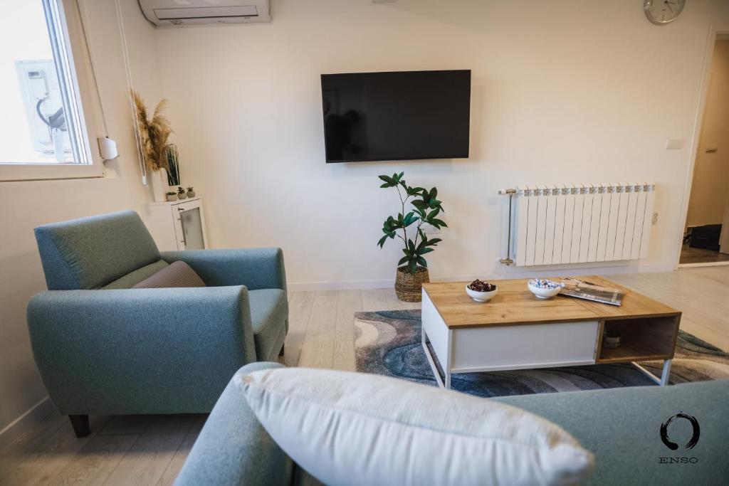 TV a/nebo společenská místnost v ubytování Apartman "Enso" I Pozega, Serbia