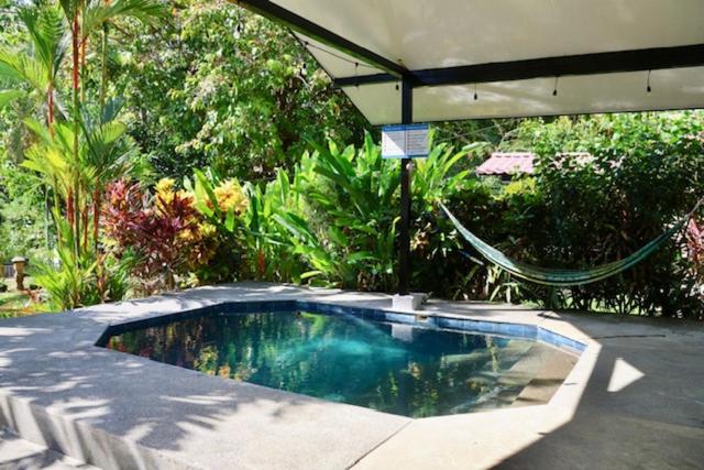 a swimming pool with a hammock in a garden at Pool house, Casa Luna in Pavones