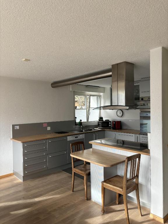 Kuchyň nebo kuchyňský kout v ubytování Lakeviewhouse