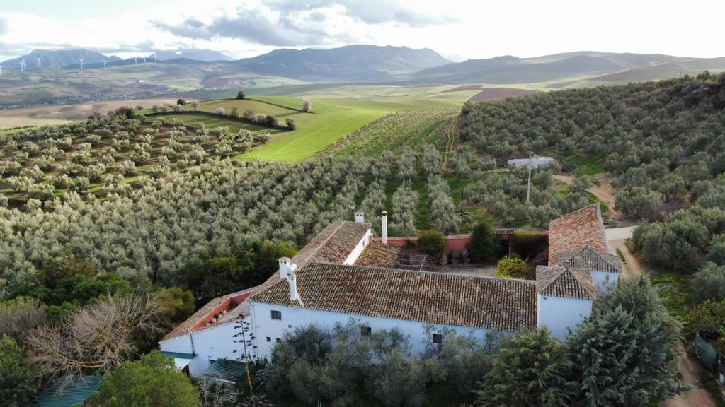 an aerial view of a house in a vineyard at Molino de Las Pilas - Ecoturismo - Caminito del Rey in Teba