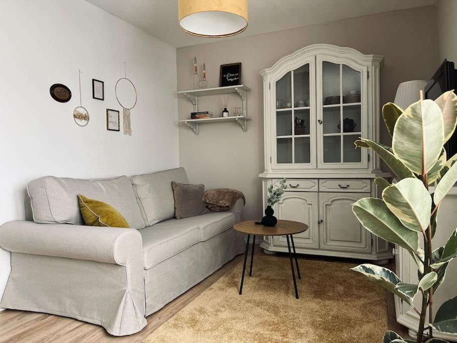 - un salon avec un canapé et une armoire dans l'établissement Kuscheliges Apartment am Limes, à Rainau
