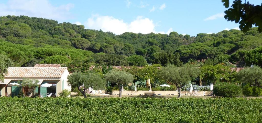 une maison avec des arbres en face d'une montagne dans l'établissement Residence Les Sellettes, à Saint-Tropez