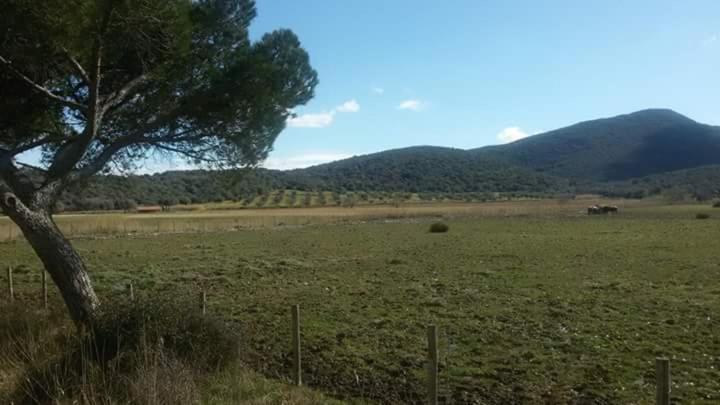 Príroda v okolí farmy
