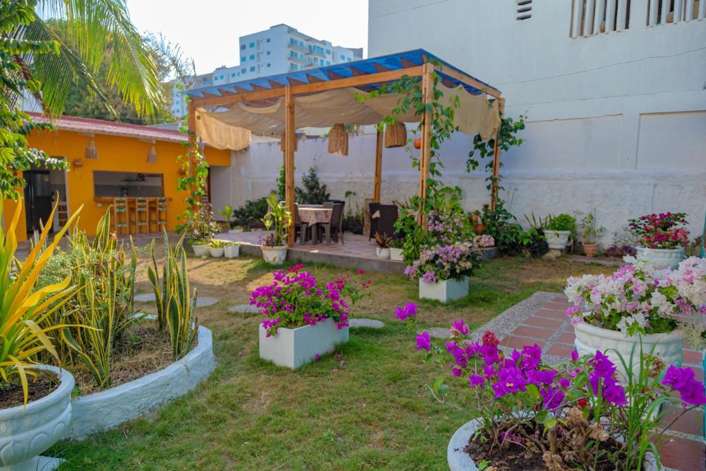 un jardín con flores en macetas frente a un edificio en Colonial Beach Airport Hotel en Cartagena de Indias