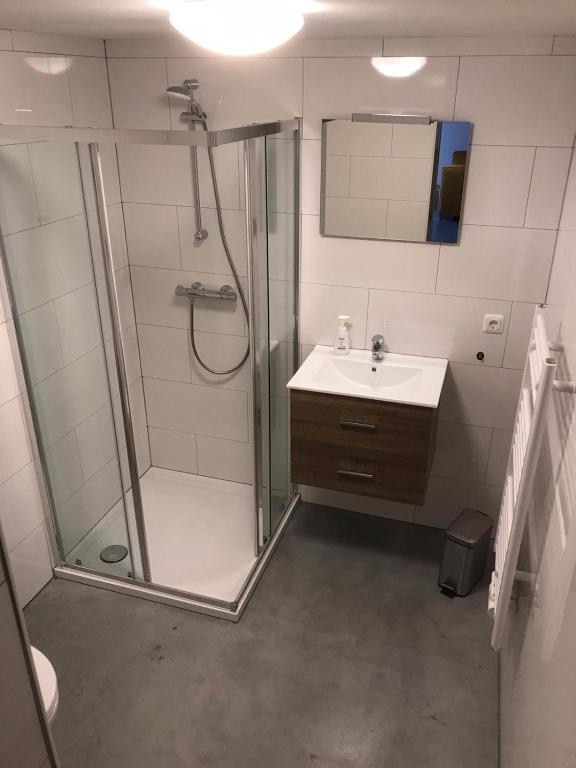 Brasserie/B&B De Pletsmolen - 