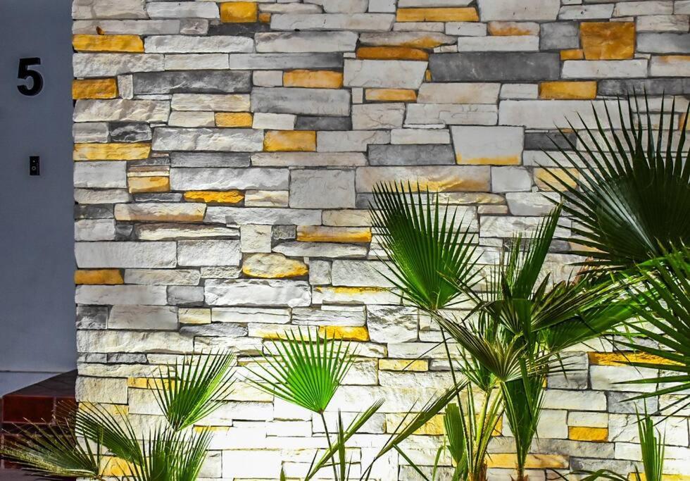 una pared de piedra con plantas delante en Nomad Casa en la mejor ubicación, en Hermosillo