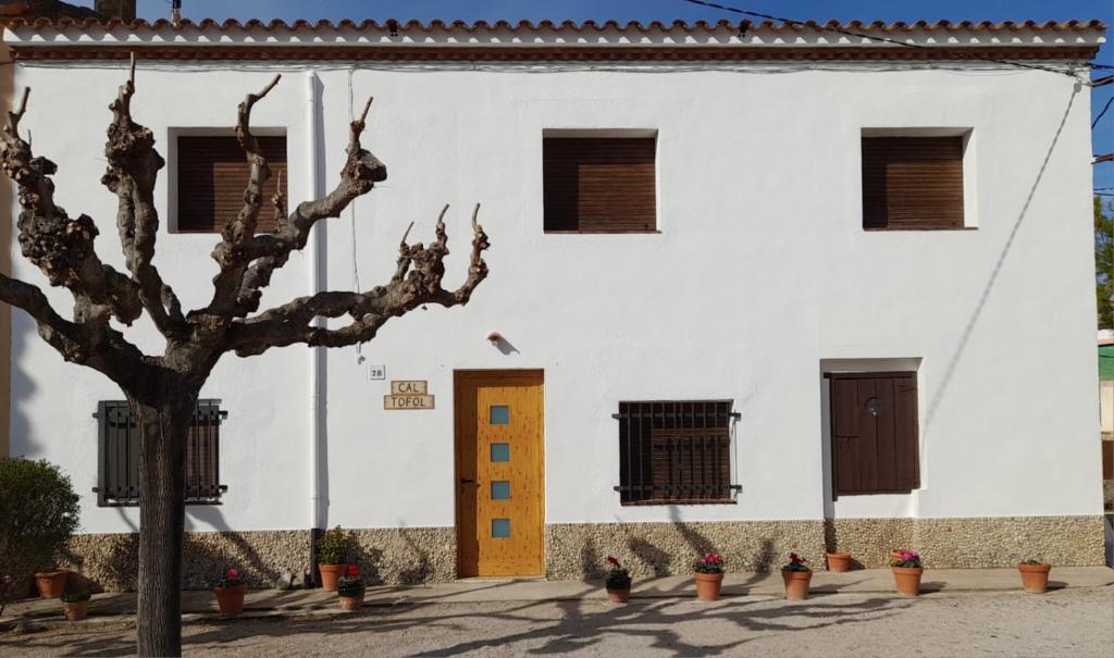 un bâtiment blanc avec un arbre devant lui dans l'établissement Casa Cal Tòfol, à Font-Rubí