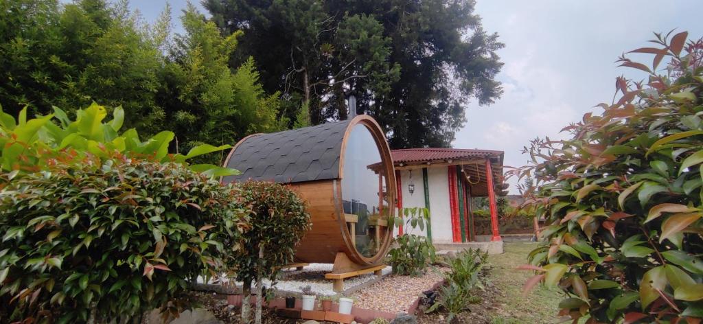 a small house with a round window in a garden at Cabaña en el corazón del Eje Cafetero, Sauna terapéutico in Filandia