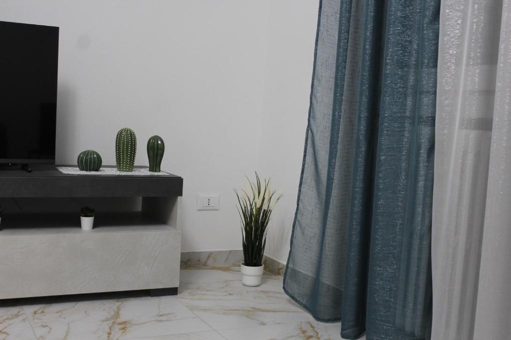 una habitación con cortina, TV y algunas plantas en Orchidea Home, en Rávena
