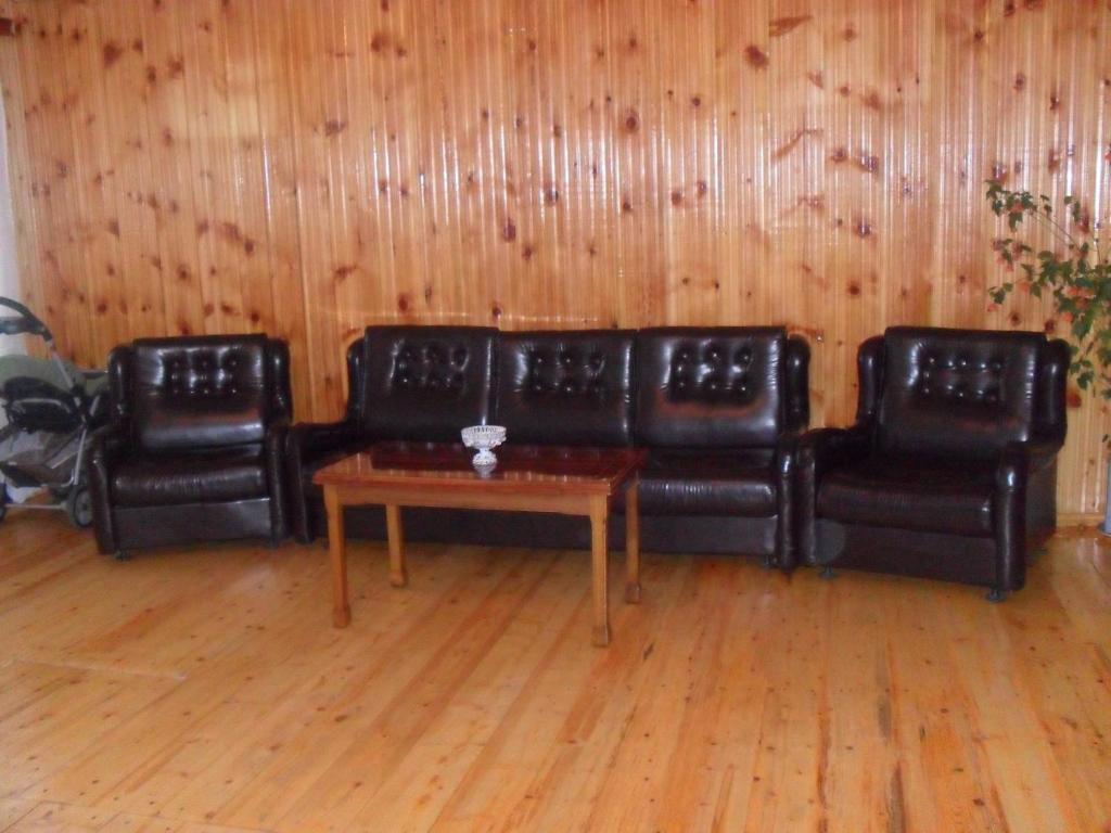 Posezení v ubytování Guest House Vivaushba