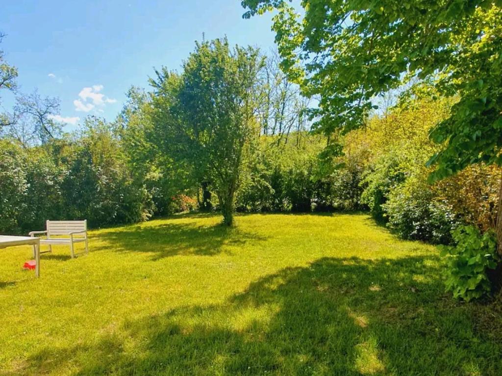 a park with a bench and a tree in the grass at Casa Tilia in Montecalvo in Foglia