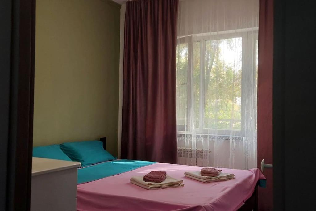 Zhalgin's apartments 2 - Housity