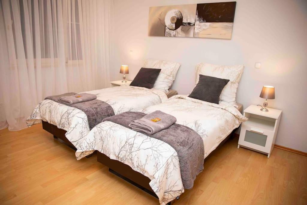 two twin beds in a room with two lamps at Deluxe Apartment in Kahl am Main