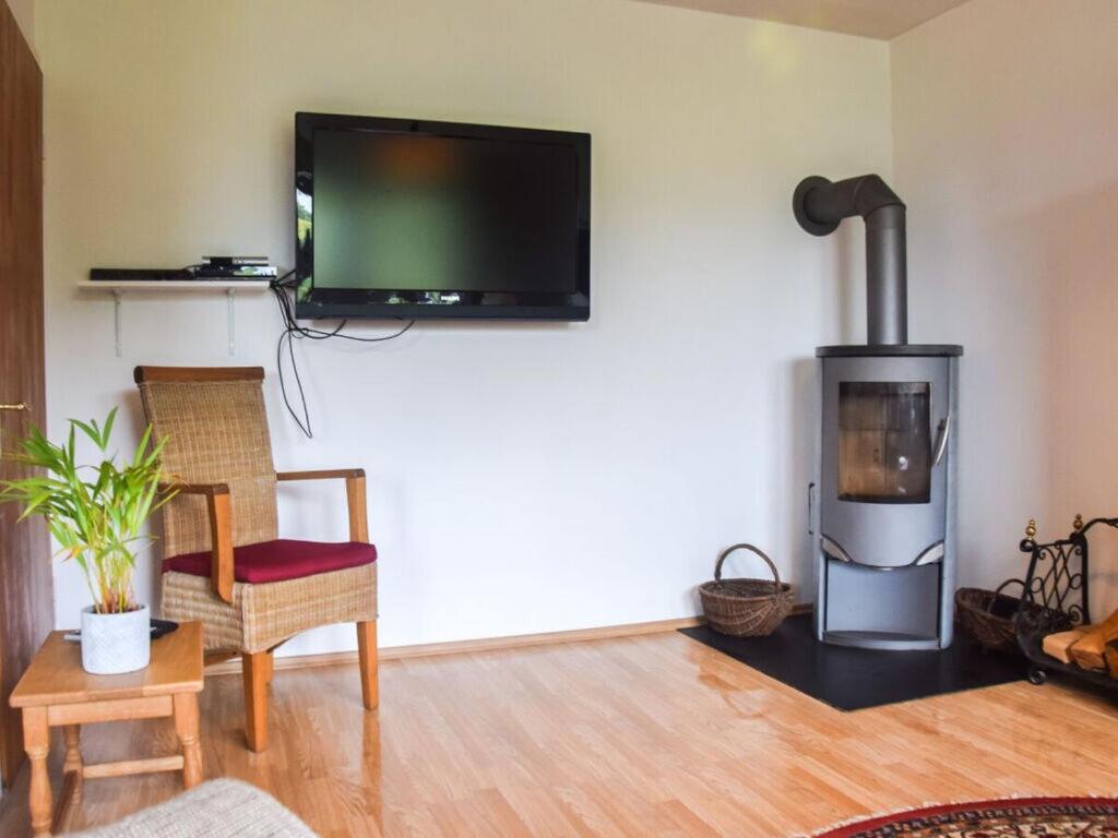 a living room with a fireplace and a flat screen tv at Holiday apartment dream view 2 in Monschau