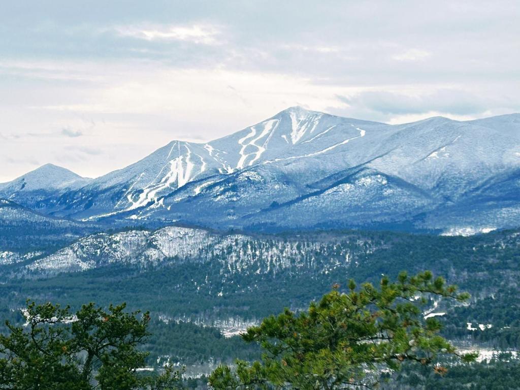 a snow covered mountain range with trees in the foreground at NewVida Preserve in Wilmington