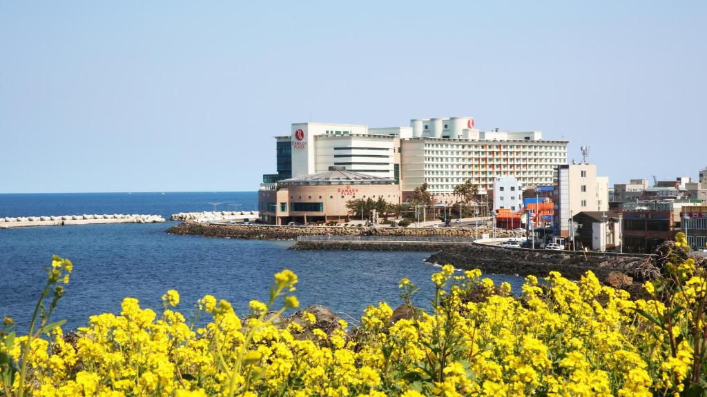 a city with yellow flowers in front of a body of water at Ramada Plaza by Wyndham Jeju Ocean Front in Jeju