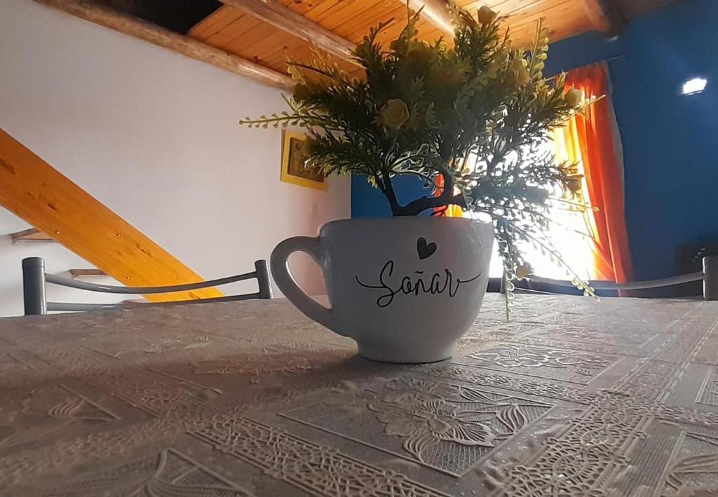 a cup on a table with a plant in it at Depto AGUSTIN in Malargüe