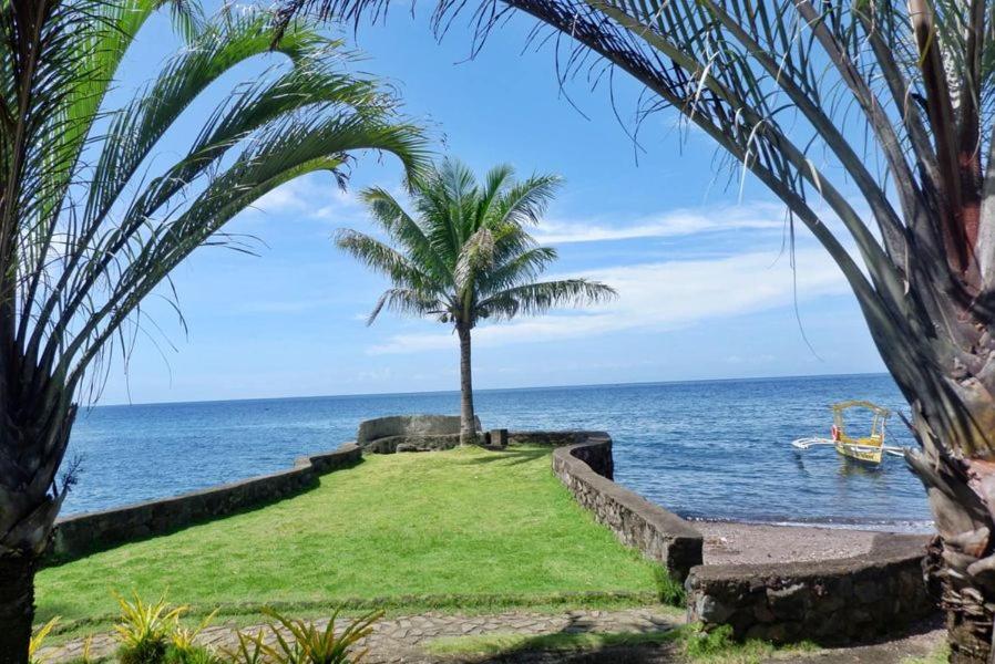 a palm tree on the beach with the ocean at Puesta del sol Beach Bungalows and Restobar in Abu