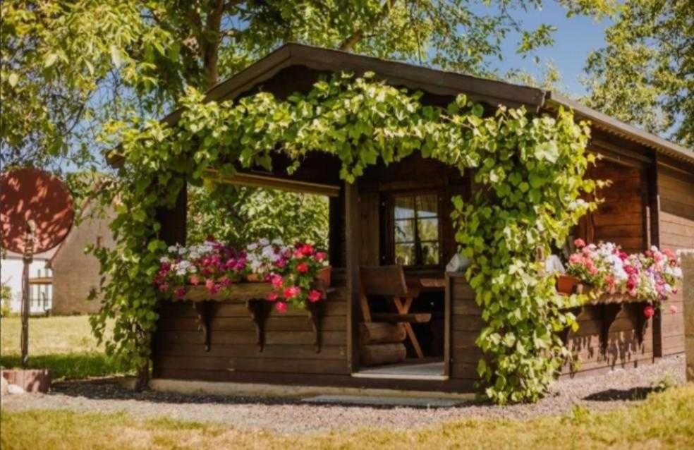 a small wooden shed with flowers on it at Ferienwohnung Erlwein 