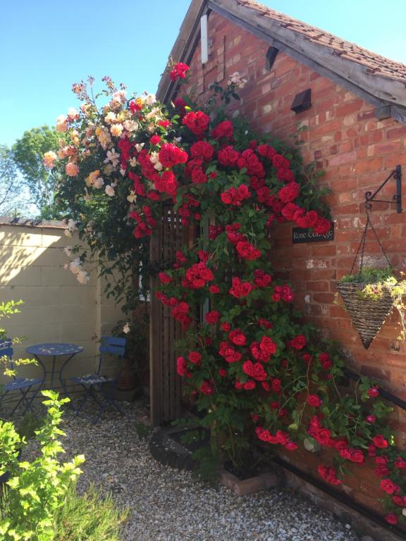 Wellington的住宿－Rose cottage，砖墙上有一个花园,上面有红色的天 ⁇ 葵