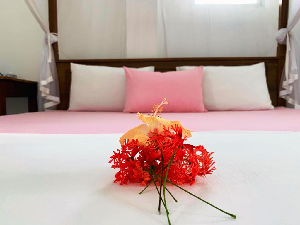 Era Holiday House - 9