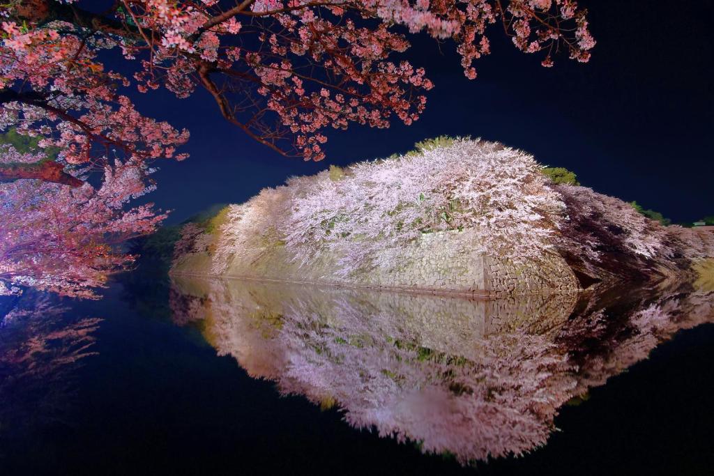 Fotografie z fotogalerie ubytování Hotel Sunroute Hikone v destinaci Hikone