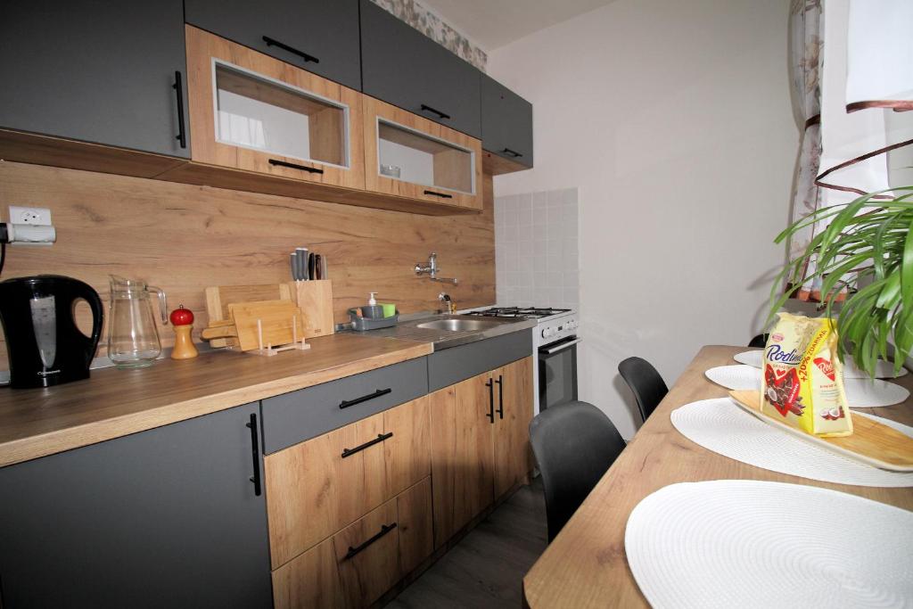 Kuchyňa alebo kuchynka v ubytovaní Karki music apartment