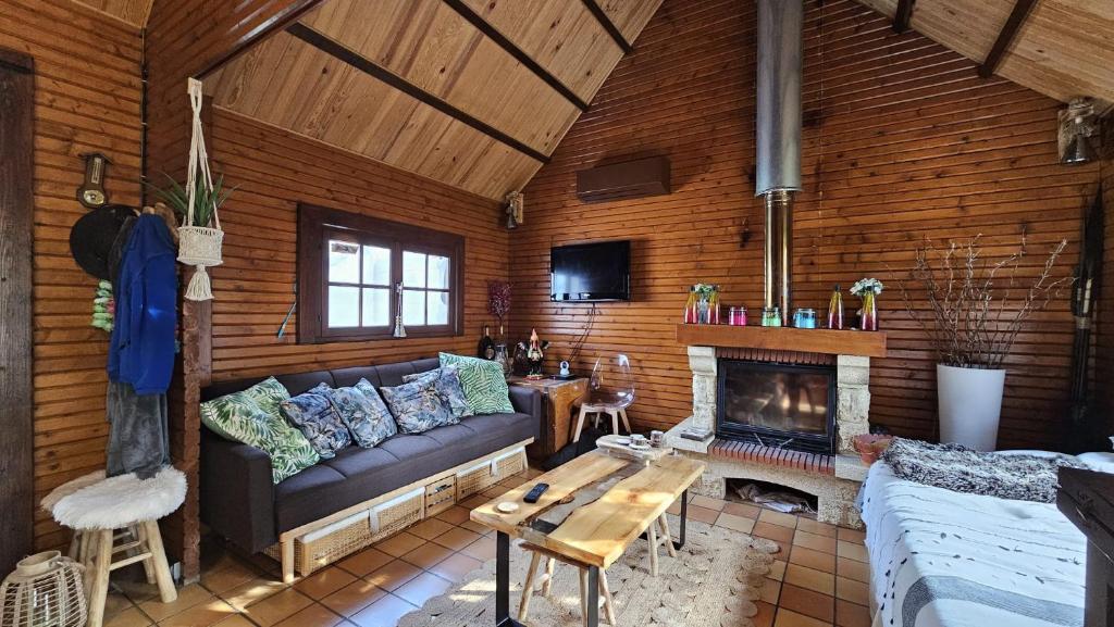 TV a/nebo společenská místnost v ubytování Chalet de Béon