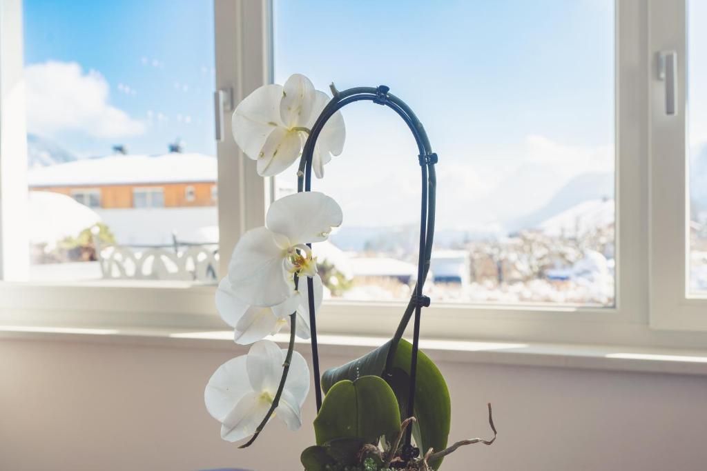 Anna Pertl - lieblingsquartier - 16