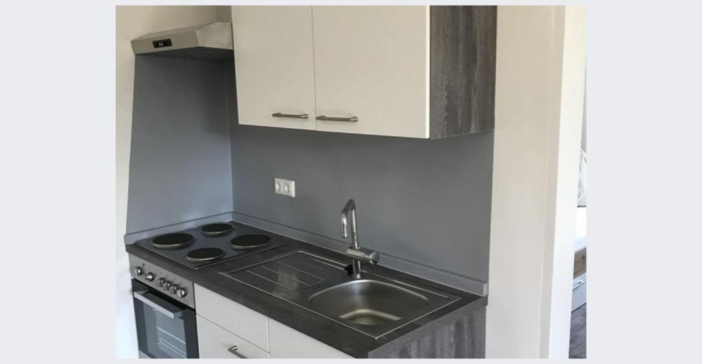 Köök või kööginurk majutusasutuses Workers Castle Apartments für die besten Monteure