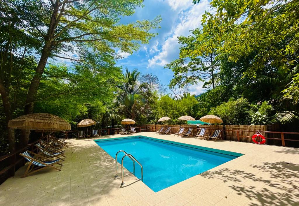 Bazén v ubytování Khao Sok Paradise Resort nebo v jeho okolí