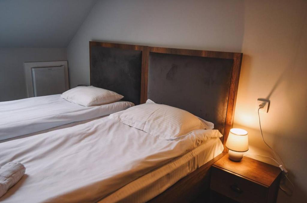 1 dormitorio con 2 camas, cabecero y lámpara en Rooftop Grey Apartment at Rustaveli Avenue, en Tiflis