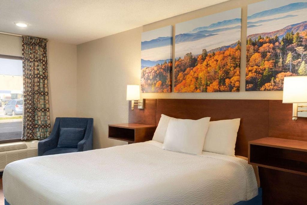 Days Inn by Wyndham Dillon - Queen Room - Niet -roken
