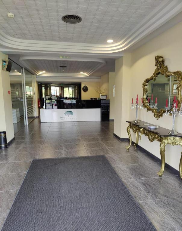 Vstupní hala nebo recepce v ubytování HOTEL SANTHYAGO TROFA