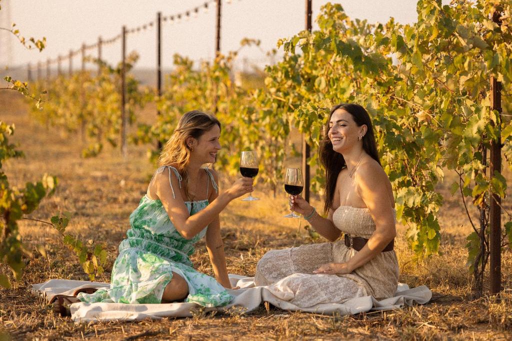 Hosté ubytování Masseria Malvindi