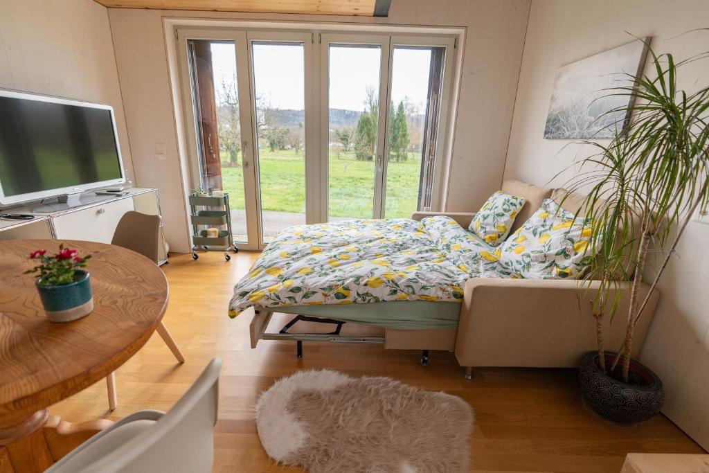TV a/nebo společenská místnost v ubytování Tiny House Chez Claudine - Relaxen, Workspace, Nähe Thermen, Netflix, free Parking & Wifi