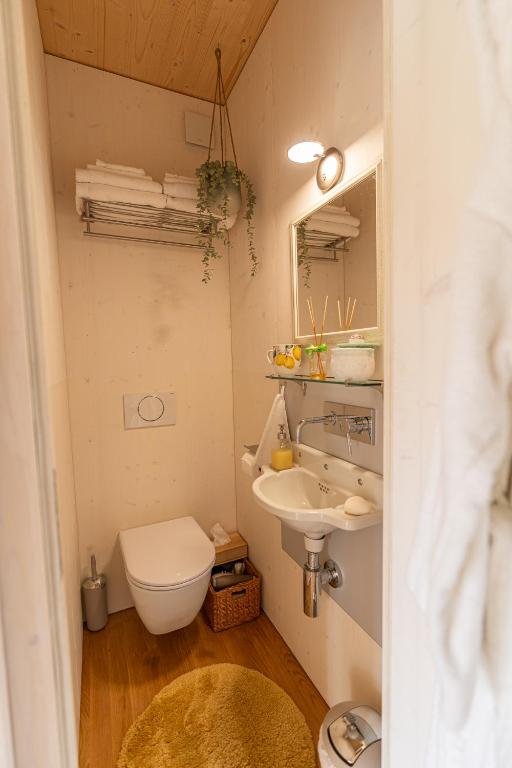 Koupelna v ubytování Tiny House Chez Claudine - Relaxen, Workspace, Nähe Thermen, Netflix, free Parking & Wifi