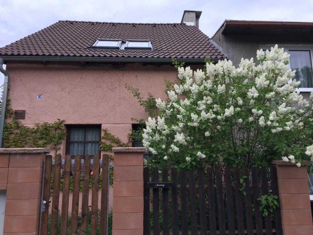 a fence in front of a house with white flowers at Na Husovce in Teplice