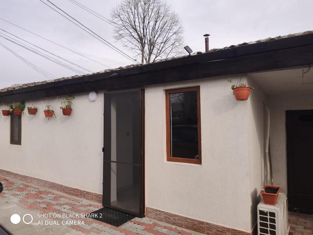 Una casa blanca con macetas al costado. en Casa Gheorghe, en Balabancea