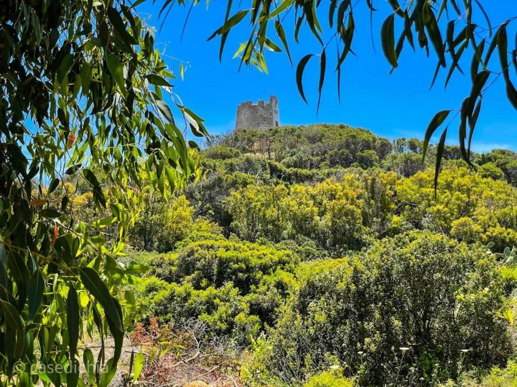 un château au sommet d'une colline plantée d'arbres dans l'établissement Torre di Chia Holiday Home, à Chia
