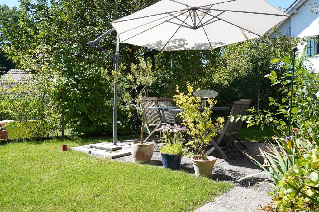 Zahrada ubytování Tiny House Chez Claudine - Relaxen, Workspace, Nähe Thermen, Netflix, free Parking & Wifi