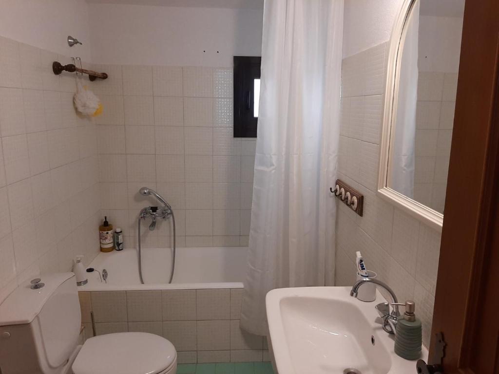 a bathroom with a toilet and a sink and a shower at Fani Apartment in Skotiní