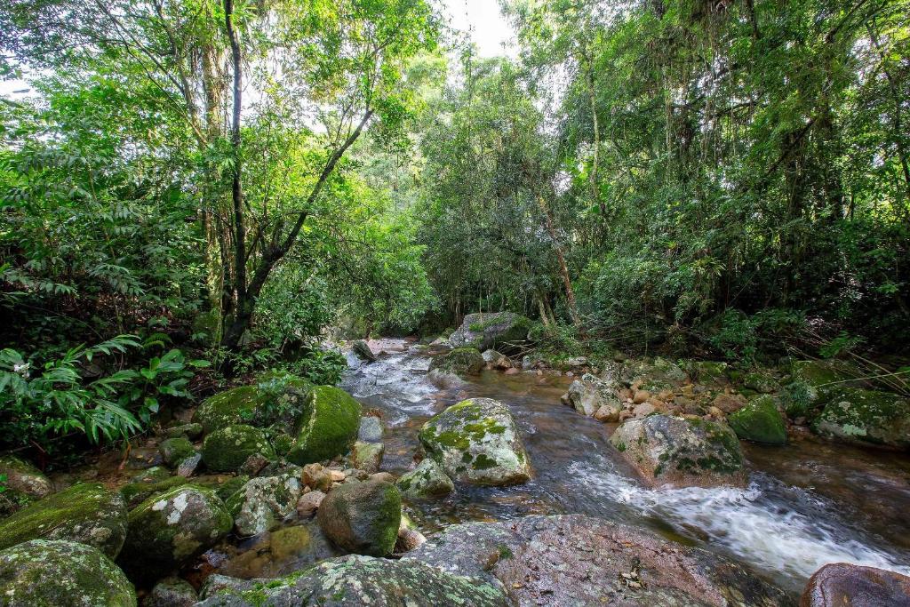 un ruisseau dans une forêt avec des rochers et des arbres dans l'établissement Sítio Águas Encantadas - Cachoeira e Águas termais, à Santo Amaro da Imperatriz