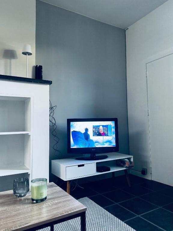 TV a/nebo společenská místnost v ubytování Au coron des Anges ( Havré )