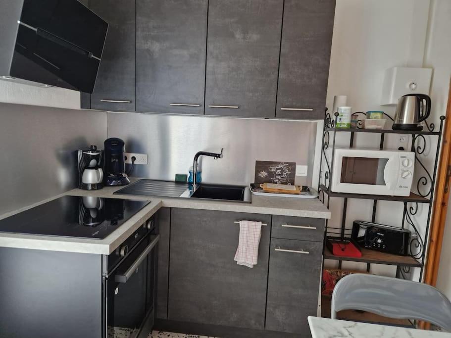 eine kleine Küche mit einer Spüle und einer Mikrowelle in der Unterkunft Gîte Le Val des Fées classés deux étoiles in Roussillon